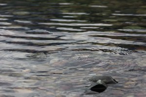 I could have taken pictures of rocks all day :)