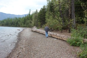 Lee walked it, was around 75 feet long