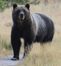 Closeup of the big one