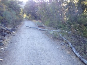 We were concerned because someone riding a bike fast around that corner could have an accident