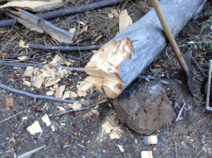 Then he trimmed up the edges