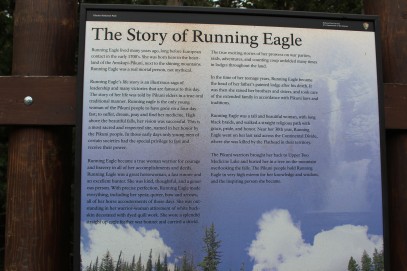 The Story of running eagle
