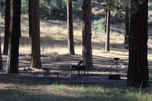 Picnic area