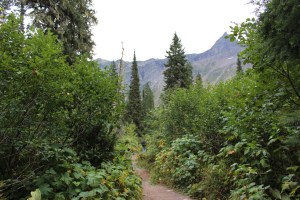 When I was close to my limit we saw this 