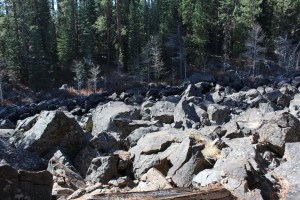 One of my favorite spot was a dry creek bed that according to Stan is white water in the spring