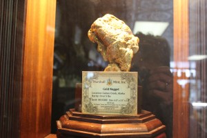 Now I know what gold looks like in the wild