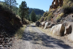 Loved these rocks along the trail