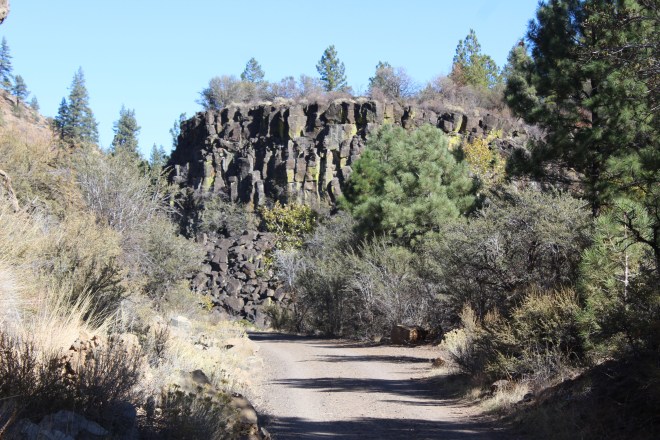 One of my favorite pictures