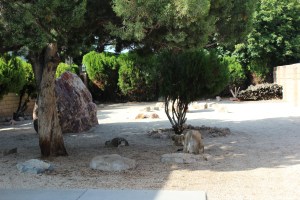 Nicest of the three dog parks