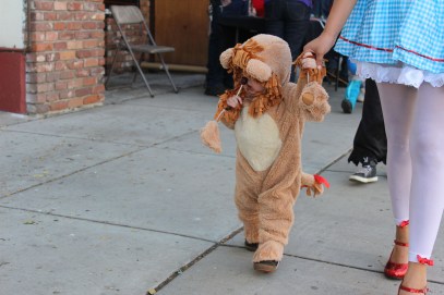 A lion trying to eat a sucker