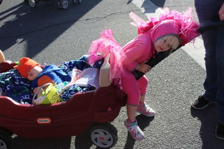 Someone is pooped out