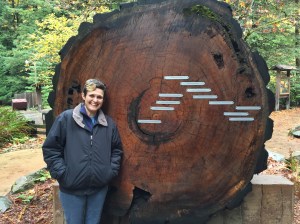This tree was at the visitors center with tags on what was happening at the different rings