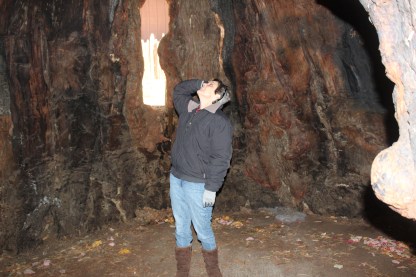 Looking up from the inside was really cool