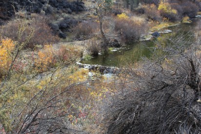 Everyone liked the many beaver dams we saw