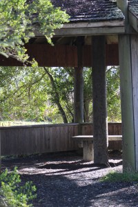 A few little along the way to watch birds from