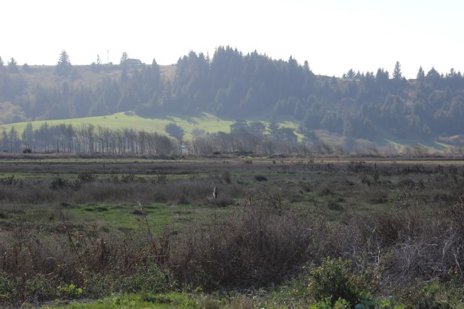 Different landscapes throughout the walk