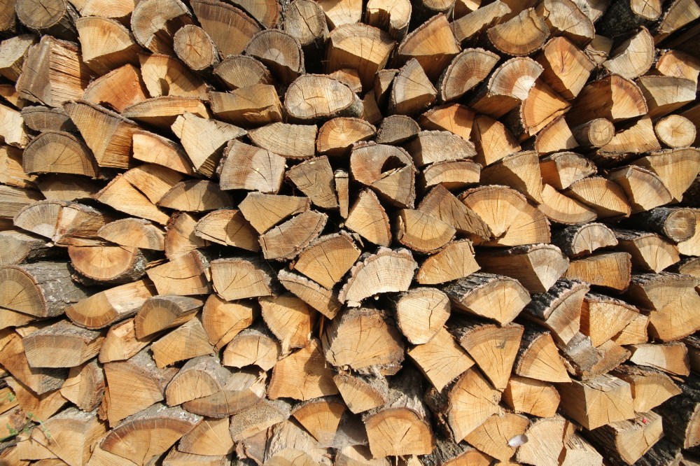 backyard wood shutterstock