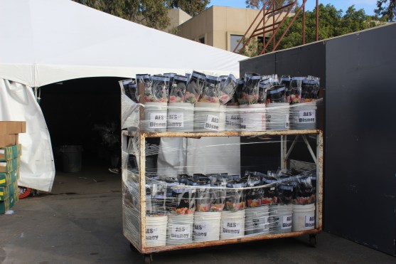 Disney flowers which they pay $6 a dozen for