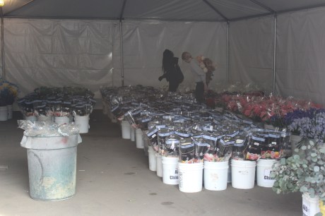 This flower tent smelled wonderful