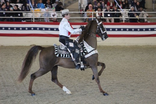 Hi horse was beautiful and he was a great rider