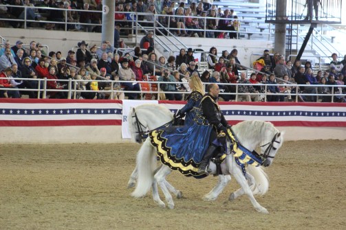 A presentation by Medieval times who ride pure Spanish breeds