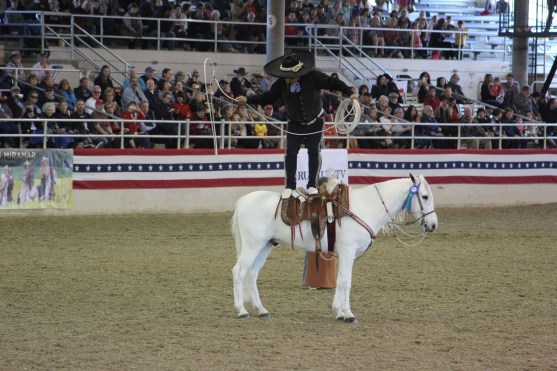 My favorite was Benny MArtinez who has been riding in the parade for 34 years since he was a little kid. I can remember watching him when he was little doing these tricks