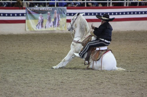He gets his horse to lay down then mounts him on the ground