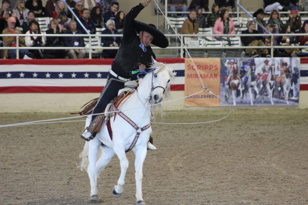 Watching the horse gallop though was even more so 