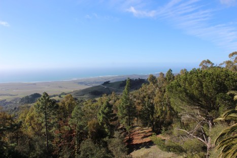 View from the terrace of the bay 