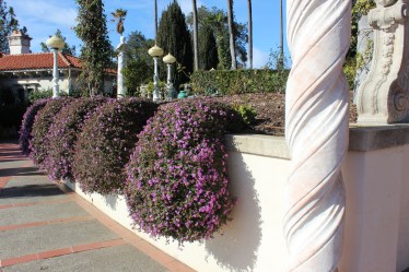 Despite it being winter the gardens had some life