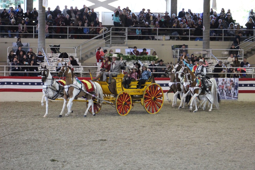 The Scripps Miramar Saddlebreds are honoring the National Parks by including original Yellowstone wagons. In the early days folks traveled to Yellowstone and rode around in these wagons