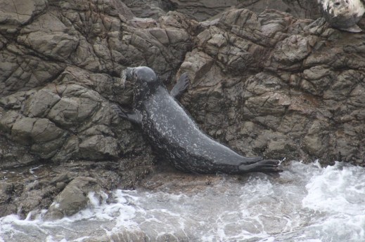 Rested here waiting for a big wave to help push