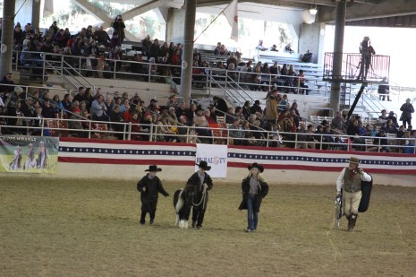 Check out these cute, tiny dusters