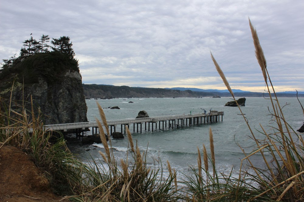 Very cool marina and docks