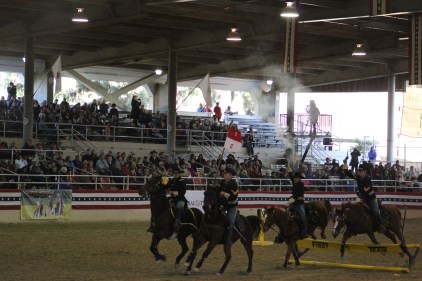 One of the horse hit the jump