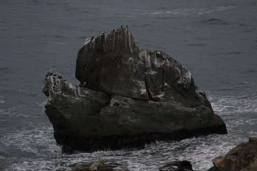 I loved this rock with tons of Pelicans. Wish I would have had a longer lense. 