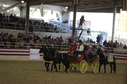 They had a waggon team with burros to show how they used to carry supplies 