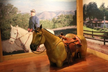 This full sized horse was great because you sat on it ...