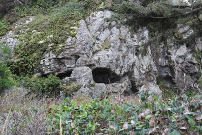 Lee thought this rock looked like a skull