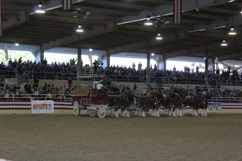 The demonstrated how the drive would turn the horses at a 90 degree angle to load the wagon into a dock which was really neat