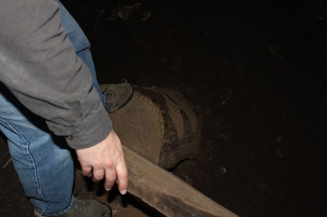 Stairs down to the living area
