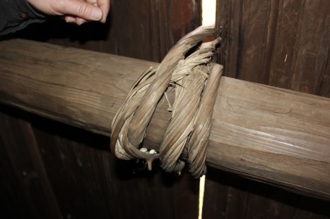 The logs were secured with this vine