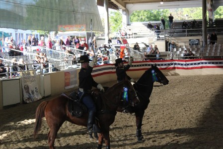 After the budweiser team the calvary came back and gave a riding demonstration with guns, rifles, and sabres