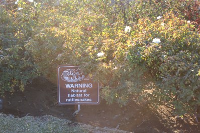 Was not thrilled to see this sign..yikes