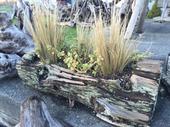 DeDe and Denny should do something like this in their garden