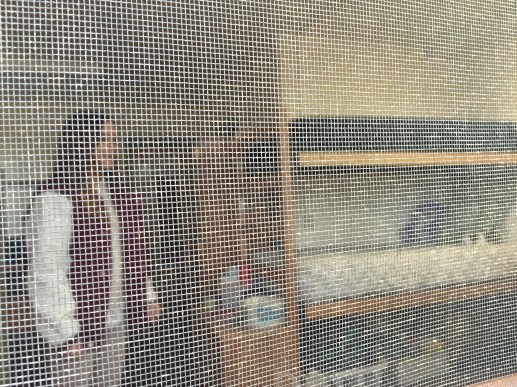 We stood outside her first floor window and looked at her room through the screen