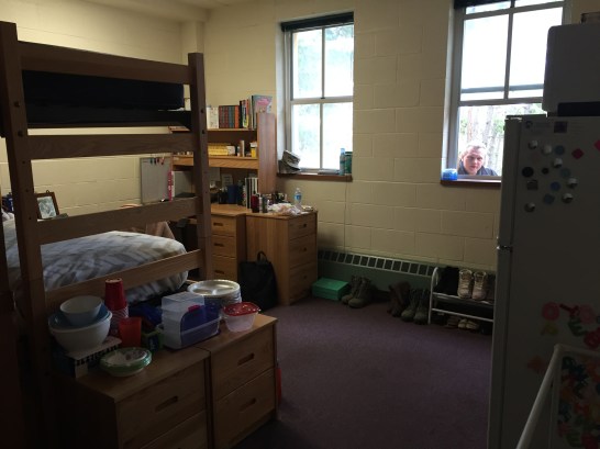 Normally they hold 2-3 but she is alone for right now which she likes