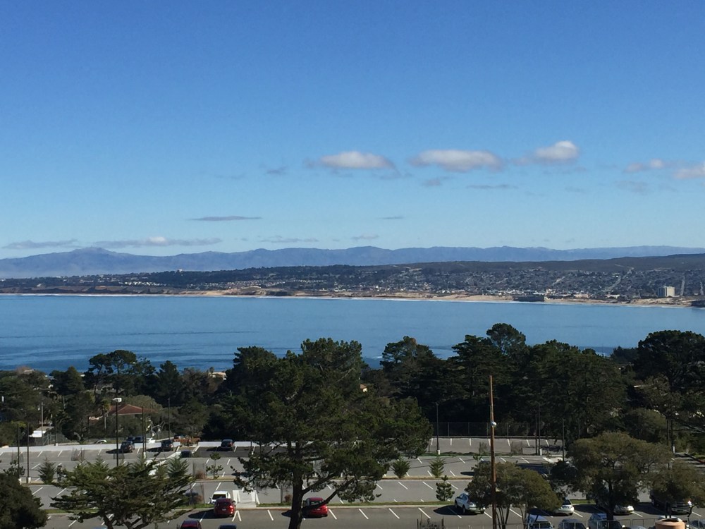 View from the study deck on top of the Korean Language building