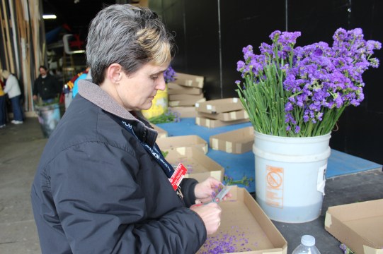 I was very serious about my flower cutting 