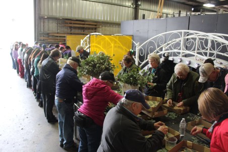 Part of our group cutting Eucalyptus leaves